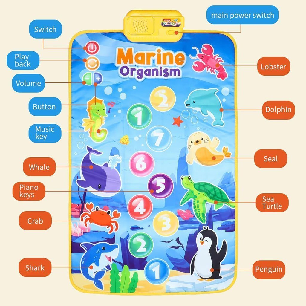 Tapis Musical et Jouet Éducatif pour Enfants 63x43cm – بساط ألعاب للرضع - الصورة 7