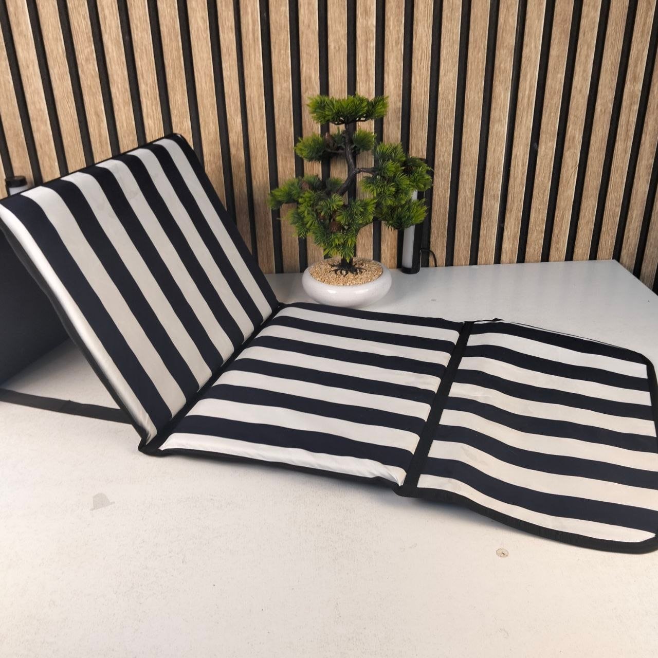 Tapis de Plage Pliable avec Dossier Réglable - حصيرة وكرسي الشاطئ القابل للطي مزود بمسند ظهر - الصورة 2